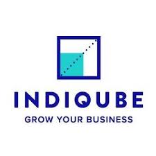 Indiqube_logo